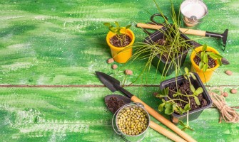 Preparati erboristici contro i parassiti di orto e frutteto