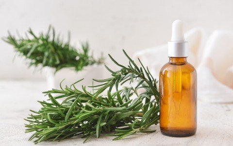 Rosmarino tintura madre: rimedio naturale per cefalee, digestione e supporto epatico Rosmarino tintura madre: rimedio naturale per cefalee, digestione e supporto epatico