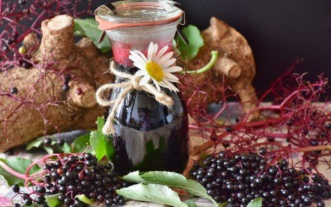 Sciroppo di sambuco la ricetta di mia nonna Sciroppo di sambuco la ricetta di mia nonna