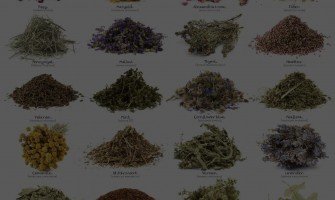 Erbe officinali alleviano sintomi della gastrite e reflusso