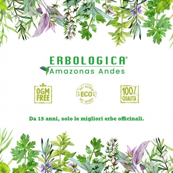 Tisana erbe di montagna Tisana erbe di montagna