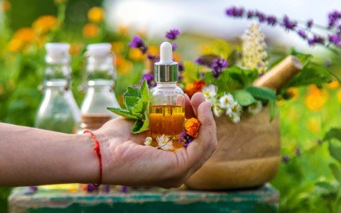 I benefici della tintura madre per il benessere I benefici della tintura madre per il benessere