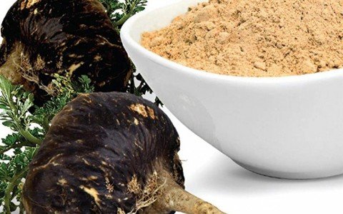 Maca delle Ande proprietà e benefici Maca delle Ande proprietà e benefici