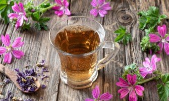 La guida definitiva alla tisana alla malva: Benefici, modalità di preparazione e ricette