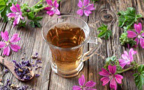 La guida definitiva alla tisana alla malva: Benefici, modalità di preparazione e ricette La guida definitiva alla tisana alla malva: Benefici, modalità di preparazione e ricette