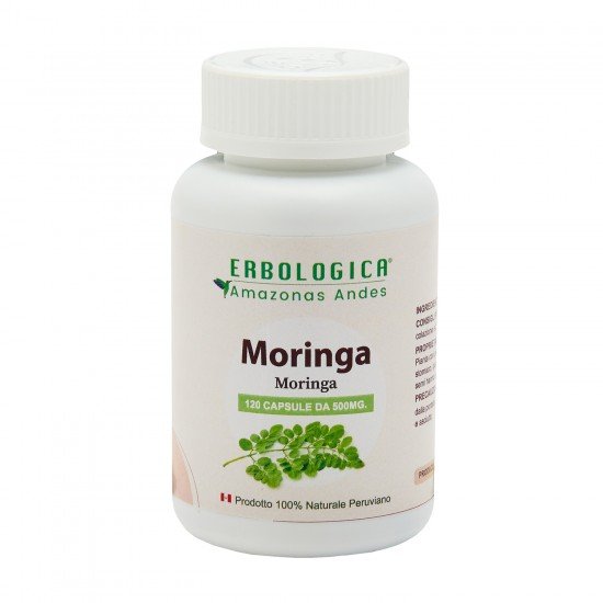 Moringa in capsule Moringa in capsule