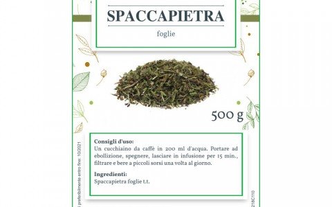 Piante che sciolgono i calcoli renali Piante che sciolgono i calcoli renali