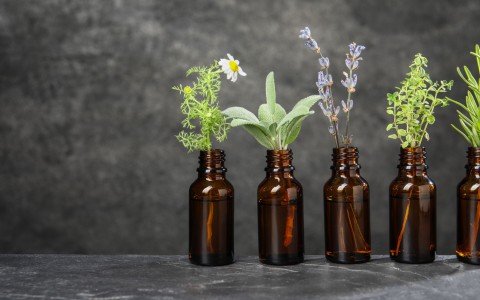 Tintura madre: a cosa serve, proprietà ed elenco Tintura madre: a cosa serve, proprietà ed elenco