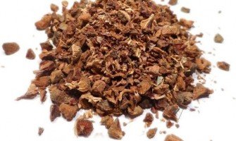 Cipresso bacche e i suoi benefici come utilizzarle