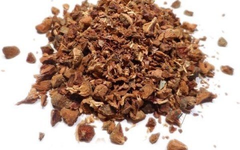 Cipresso bacche e i suoi benefici come utilizzarle Cipresso bacche e i suoi benefici come utilizzarle