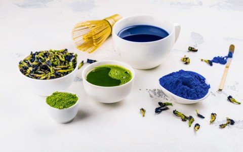 Erbe Tintorie Erbe Tintorie