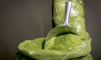 Moringa Oleifera proprietà e usi della pianta