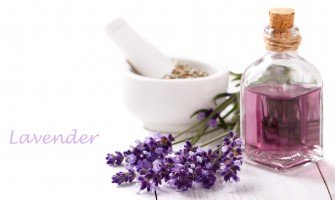 Olio essenziale di lavanda benefici e usi