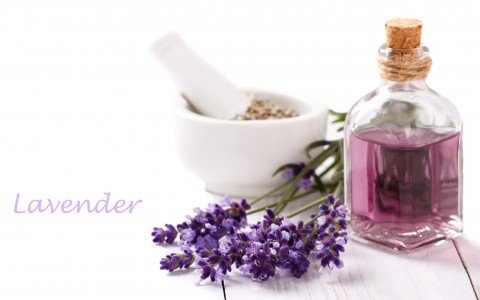 Olio essenziale di lavanda benefici e usi Olio essenziale di lavanda benefici e usi