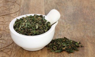 Parietaria pianta usi e benefici per la salute