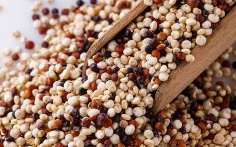 Quinoa: Tutto ciò che devi sapere sulle proprietà e i benefici Quinoa: Tutto ciò che devi sapere sulle proprietà e i benefici