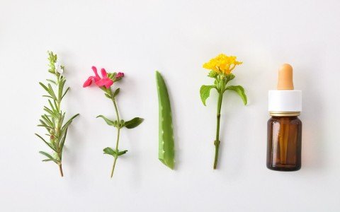 Rimedi naturali contro le scottature Rimedi naturali contro le scottature