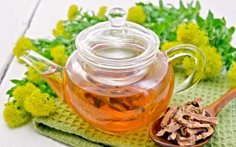 Rhodiola, proprietà, uso, controindicazioni Rhodiola, proprietà, uso, controindicazioni