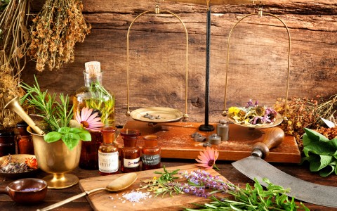 Le erbe officinali che aiutano la stanchezza mentale e la concentrazione Le erbe officinali che aiutano la stanchezza mentale e la concentrazione