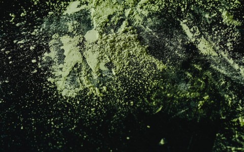 Damiana e i suoi benefici Damiana e i suoi benefici