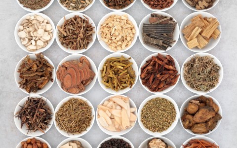 Asma: Come le erbe medicinali possono aiutare a respirare meglio Asma: Come le erbe medicinali possono aiutare a respirare meglio