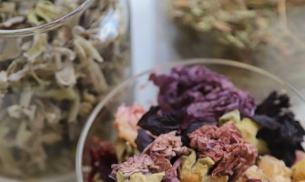 Erbe officinali che curano la stitichezza