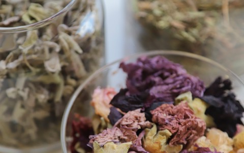 Erbe officinali efficaci per il trattamento delle emorroidi Erbe officinali efficaci per il trattamento delle emorroidi