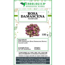 Rosa damascena tisana Rosa damascena tisana