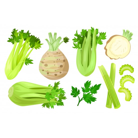 Sedano in polvere Sedano in polvere