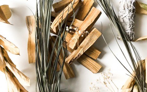 Erbe curative del Perù Erbe curative del Perù