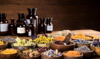 Erbe officinali per curare la tosse