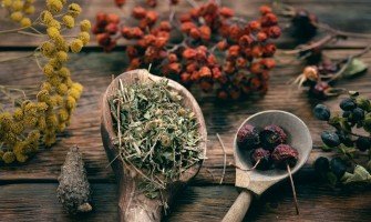Le 11 erbe officinali per l'inverno