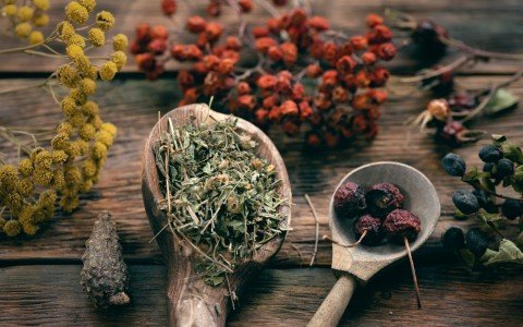 Le 11 erbe officinali per l'inverno Le 11 erbe officinali per l'inverno