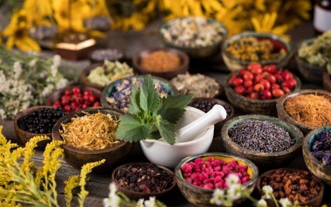 Erbe e tisane che curano la febbre Erbe e tisane che curano la febbre