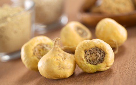 Scopri i benefici della maca delle ande: energia e salute naturale | erbologica Scopri i benefici della maca delle ande: energia e salute naturale | erbologica