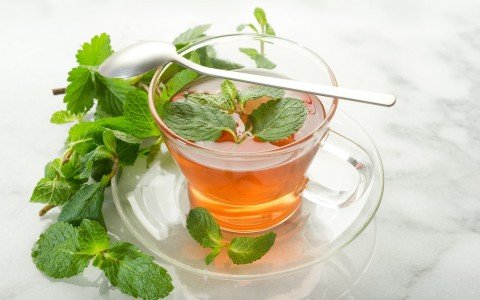 Menta tisana e i suoi benefici Menta tisana e i suoi benefici