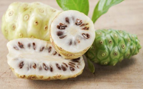 Noni proprietà la pianta esotica che combatte stanchezza e debolezza Noni proprietà la pianta esotica che combatte stanchezza e debolezza