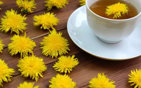 Tarassaco tisana Tarassaco tisana