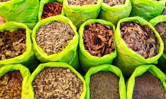 Vendita erbe dell'amazzonia