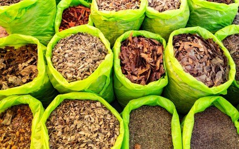 Vendita erbe dell'amazzonia