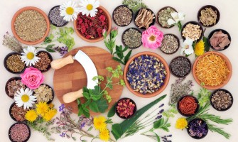 Erbe officinali che curano raffreddore