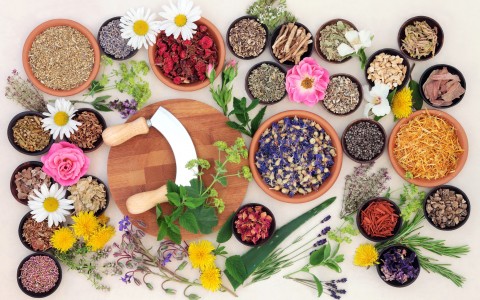 Erbe officinali che curano raffreddore Erbe officinali che curano raffreddore