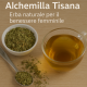 Alchemilla tisana Alchemilla tisana