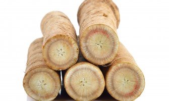 Radice di bardana: Il superalimento disintossicante per eccellenza che dovete conoscere