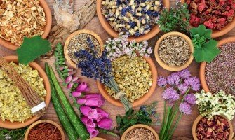 Panoramica Completa sui Benefici delle Erbe Medicinali