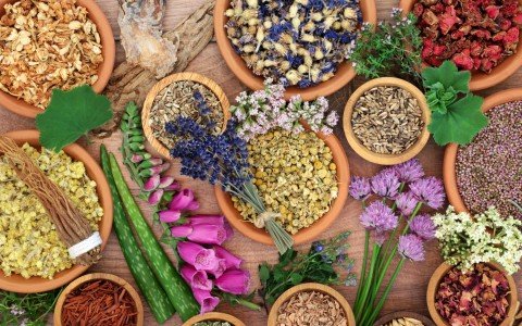Panoramica Completa sui Benefici delle Erbe Medicinali Panoramica Completa sui Benefici delle Erbe Medicinali