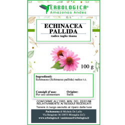Echinacea palida radice tisana