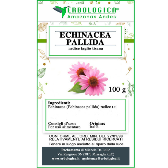 Echinacea palida radice tisana Echinacea palida radice tisana