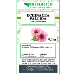 Echinacea palida radice tisana Echinacea palida radice tisana