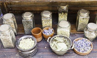 Erbe medicinali per dimagrire